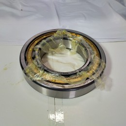 Bearing FAG NU 219 (SOLD)